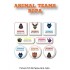Ropa Animal Teams